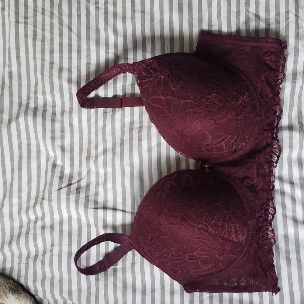 Women's Daisy Fuentes bra size 42D